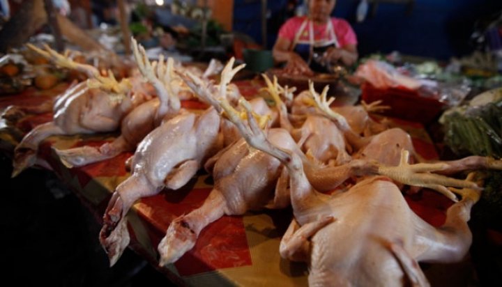 Pakar Ingatkan Bahaya Sering Makan Daging Ayam Broiler